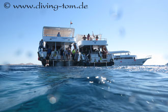Weiteres Unterwasser: