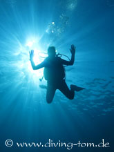 Weiteres Unterwasser: