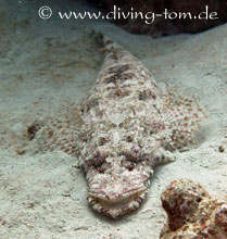 Weiteres Unterwasser: